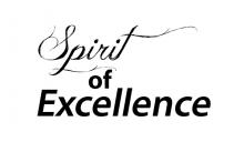 Spirit of excellence in EXCELL project